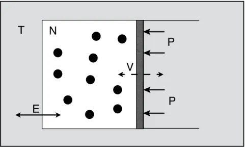 Figure 2.2: Ensemble isobare-isotherme NPT : le syst` eme, mat´ erialis´ e par les sph` eres noires,