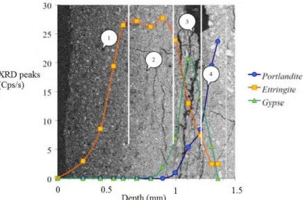 Figure 1.27: Depths reached by portlandite, ettringite and gypsum after an accelerated ESA performed at  pH = 7 and with solution renewal [114] 