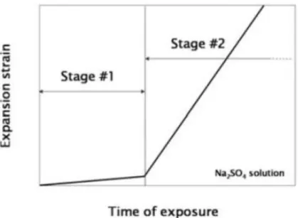 Figure 2.1: The two stages process of expansion during external sodium sulfate attack [58] 