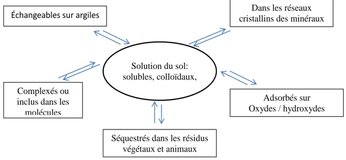 Figure 10: Différentes formes et localisations des éléments traces dans les sols (Baize, 1997) 