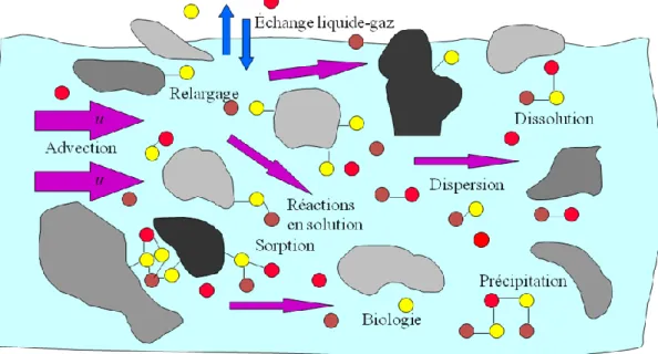 Figure 18: Illustration des phénomènes d'advection, dispersion et réaction avec le milieu qui se produisent lors  du transport réactif d'un soluté (Carrayrou, 2004) 