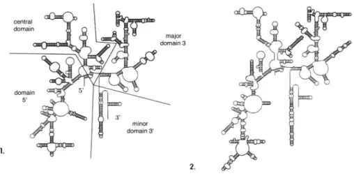 Fig. 2: Typical secondary structure  