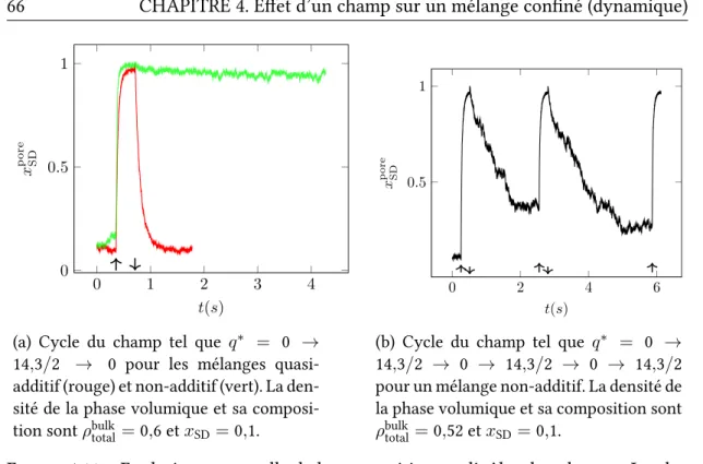 Figure 4.11 – Evolution temporelle de la composition en dipôles dans le pore. Le plus faible facteur d’amortissement a été utilisé (γ ∗ = 0,046).