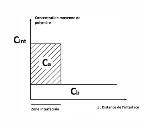 Figure 4-1 Concentration moyenne de polymère en fonction de la distance de la surface d’adsorption