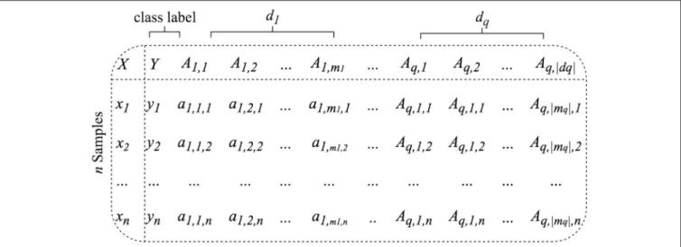 FIGURE 2 | BioDiscML accepts as input one ({d 1 } only) or many ({d 1 , ..,d q }) symbol-separated table-like structured datasets containing samples in row and features in columns.