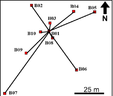 Figure 2.13: Geometry of Array B. B01 is the central station. Other stations are placed  around B01 at distances ranging from 5 to 60 m