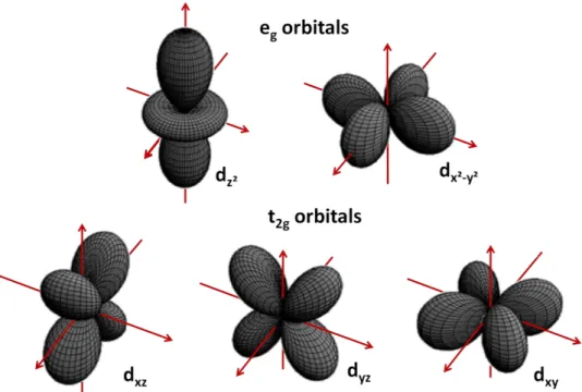 Figure 9: Géométrie des 5 orbitales électroniques de la couche d 