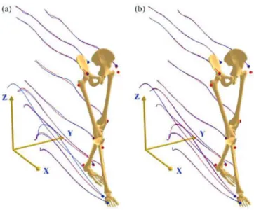 Figure 3: Multibody optimisation can be used to minimise the squared distance   between measured and model-determined markers positions (Andersen et al., 2009) 