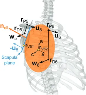 Figure 32 : Scapulothoracic joint modelled as a plane tangent to an ellipsoid 