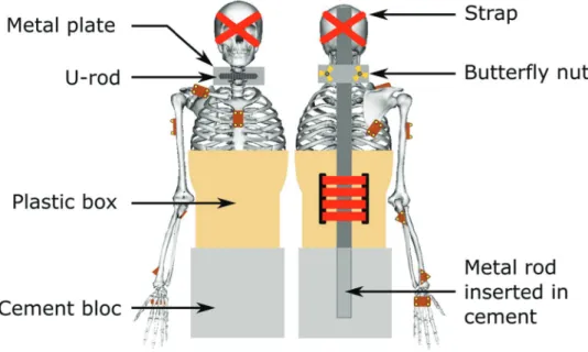 Figure 37 : Fixation device allowing to maintain the cadaver during motion capture  