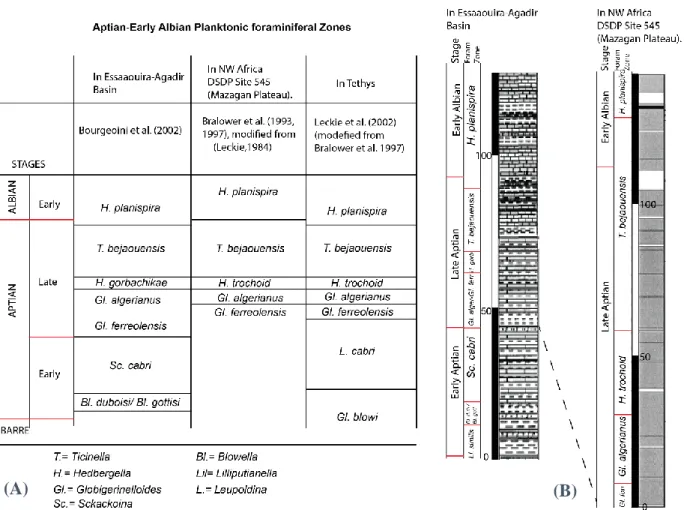 Fig. 2.4) was initially studied by Wiegand (1984), then modified by Bralower et al. (1993; 1997),  and three nannofossil Subzones NC7C, NC8A and NC8B have been recognized