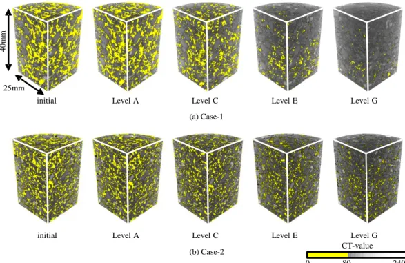Figure 6. Spatial distribution of porosity in the soil. 