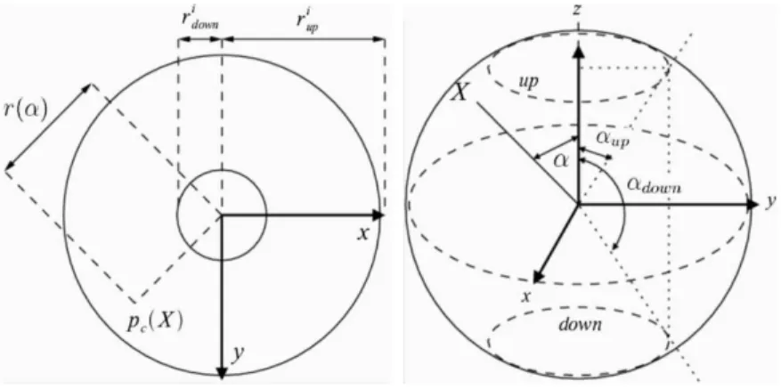 Fig. 2. Left: two concentric circles of radii r i up , r i down in the image. Right: an- an-gles α up , α down , α from the z-axis define the field of view for a point X by α up ≤ α( X ) ≤ α down 
