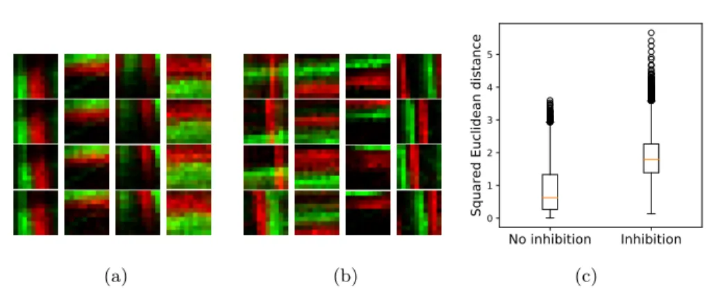 Fig. 3: Lateral inhibition diversifies receptive fields. Examples of 16 neurons’