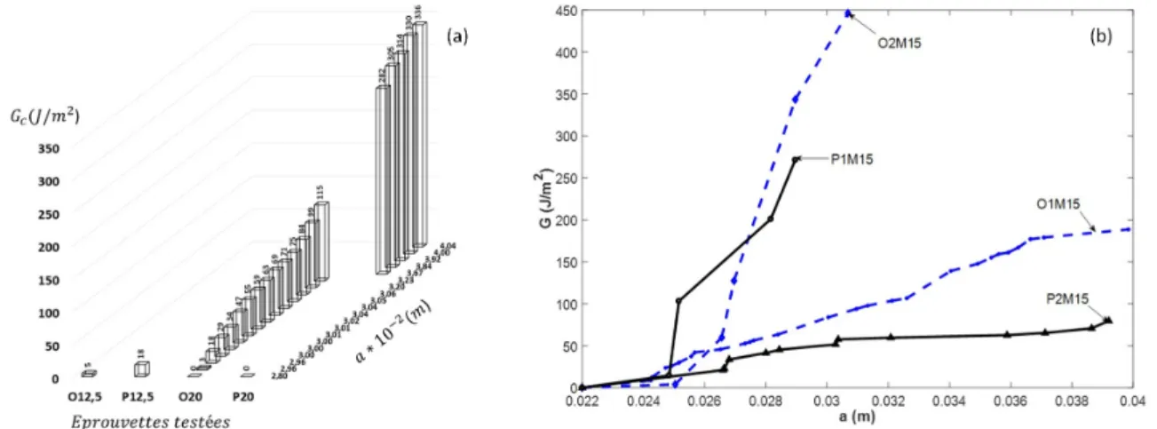 Figure 4 – Courbes taux de restitution d’énérgie - longueur de fissure : (a) CTS et (b) MMCG de : l’Okoumé et du Padouk.