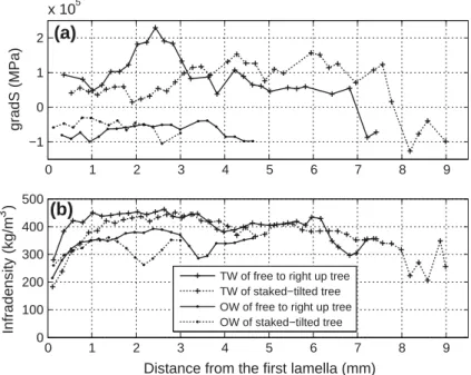 Figure 7 presents independently gradS and infradensity variations as a function of the radial distance from the first lamella for TW and OW samples, for a free tree and a staked-tilted tree felled at the end of the growing season
