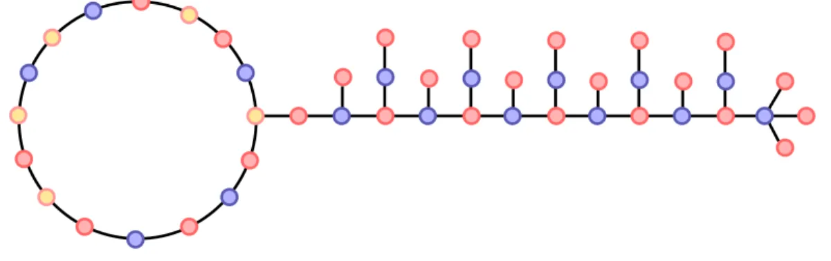 Fig. 2. The figure illustrates proof of proposition 3. It takes O (log ∗ n ) rounds to 3-colour the cycle on the left, but it take constant time to colour the even-odd caterpillar on the right, as a 2-colouring is hard-coded in the structure of the graph