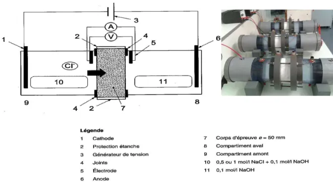 Figure II-11 : Schéma illustrant le dispositif pour l’essai de migration sous champ électrique  