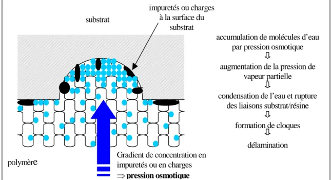 Figure I-24 Représentation schématique de la formation de cloques au niveau de l'interface