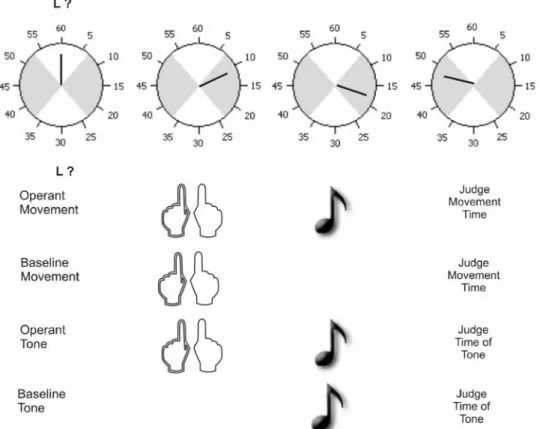 Fig. 1 Outline of the procedure. When the clock hand starts rotating a symbolic cue signals which action to perform during the Wrst or the second interval (shaded areas on the clock)