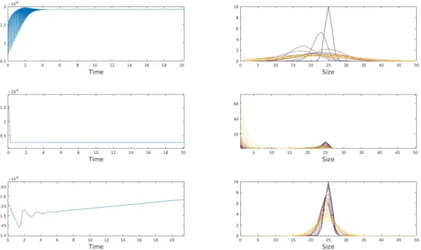 Figure 3: Numerical results corresponding to SLS measurement, i.e. the quantity M 2 defined by (1) (Left Column) and the evolution of the size distribution of polymers (Right Column).