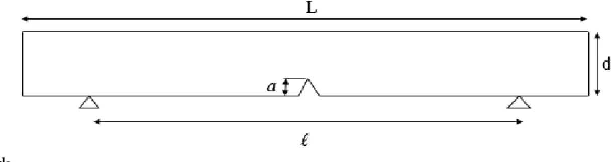 Fig. 5. Dimension of specimen. 