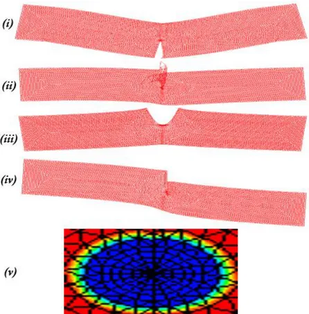 Fig. 6. Finite element mesh of specimen: (i) Mode I deformation shape, (ii) Mode II  deformation shape, (iii) Open mode virtual displacement, (iv) Shear mode virtual 