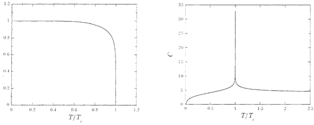 Figure 1.3.3 Aimantation spontanée et chaleur spécifique du modèle d 'Ising homogène à deux dimensions.