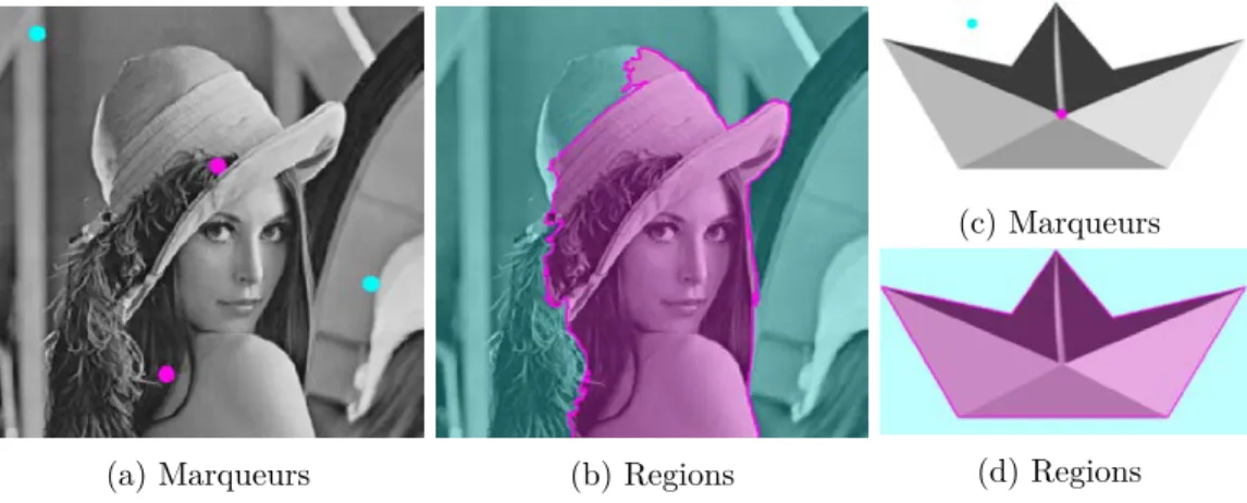 Figure 2.16 – Application des Power Watershed sur deux images de tests. En (a) et (c) le positionnement des marqueurs, avec en bleu ceux du font et en rose ceux de l’objet à segmenter