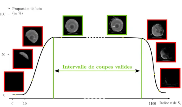 Figure 3.1 – Évolution type du pourcentage de bois présent sur une coupe suivant la position z de la coupe S z dans l’image scannée.