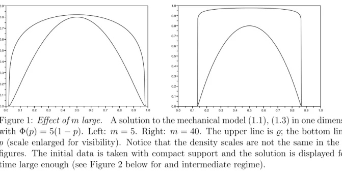 Figure 1: Effect of m large. A solution to the mechanical model (1.1), (1.3) in one dimension with Φ(p) = 5(1 − p)