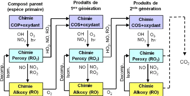 Figure 2.5  –  Redondance  des principales étapes de  l’oxydation des composés organiques dans la  troposphère  jusqu’à  la  formation  des  produits  finaux  d’oxydation  (d’après  Aumont  et  al.,  2005)