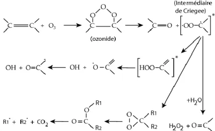 Figure 2.8 – Mécanisme d’oxydation gazeuse d’un composé organique insaturé par l’ozone (d’après  Valorso, 2011)