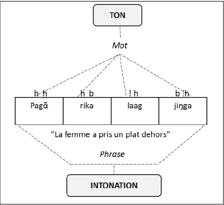 Figure 2: Distinction entre ton et intonation (Adouakou, 2005) 