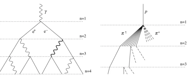 Fig. 1. Schematic views of (a) an electromagnetic cascade and (b) a hadronic shower. In the hadron shower, dashed lines indicate neutral pions which do not re-interact, but quickly decay, yielding electromagnetic subshowers (not shown)