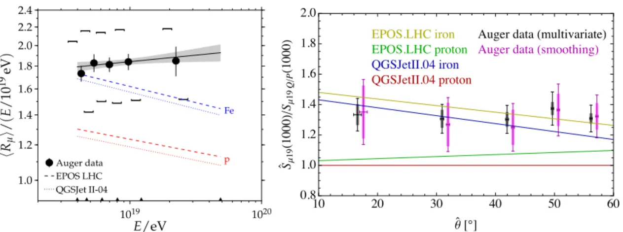 FIG. 4. Average muon content R µ per shower energy E as a function of the shower energy E in double logarithmic scale