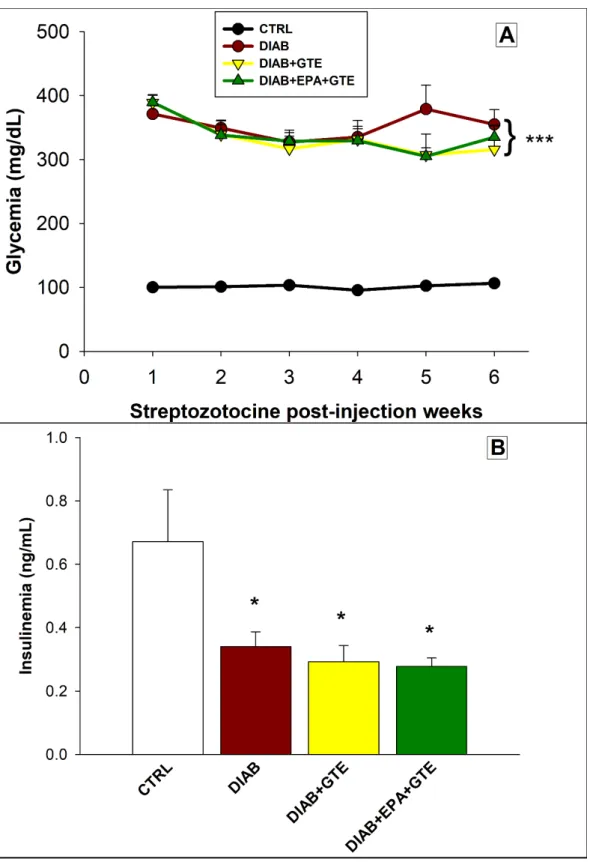Figure 1. Glycemia and insulinemia. (A) Glycemia after the streptozotocin injection and (B) 