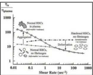Figure 1.4: Blood shear rate–relative viscosity relationships with its shear–thinning behav- behav-ior in static conditions (from [34])