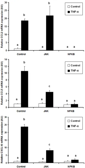 Figure S1 Monitoring of human pre-adipocyte differen- differen-tiation.