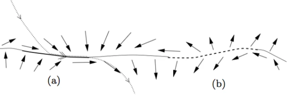 Figure 1.1: A typical discontinuity boundary of a two-dimensional Filippov system showing the behavior of the vector fields on both sides