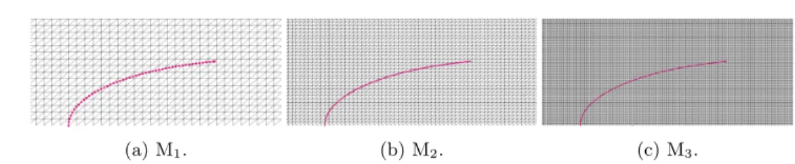 Fig. 9 . Zoom on the fluid and solid meshes for the different levels of refinement.