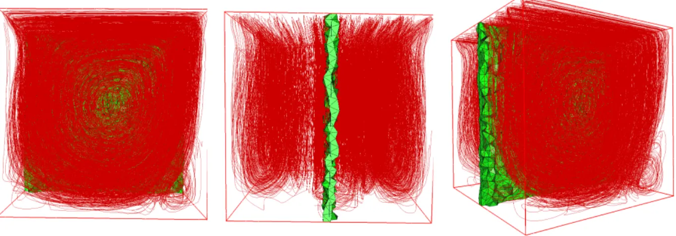 Figure 1.5: Cavity in 3D: the streamtraces for the test case Re = 1000.
