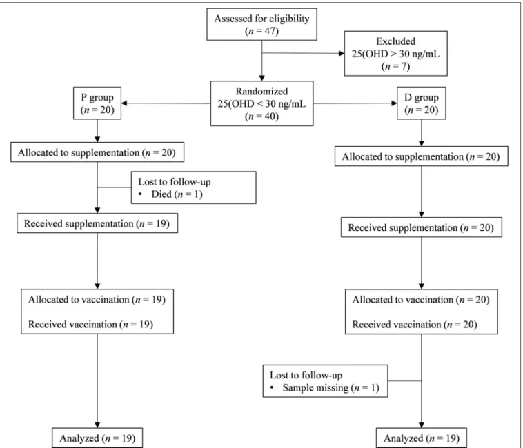 FIGURE 1 | CONSORT flow chart. The flow of participants through the trial is represented by a diagram, as suggested by the CONSORT group