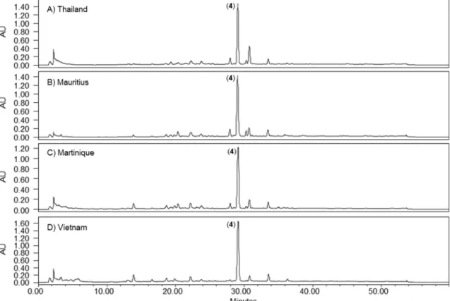 Fig. 1. HPLC-UV chromatograms recorded at k = 210 nm, showing the crude extracts of Annona squamosa fruit pulp from the 4 batches (10 mg/ml in MeOH)