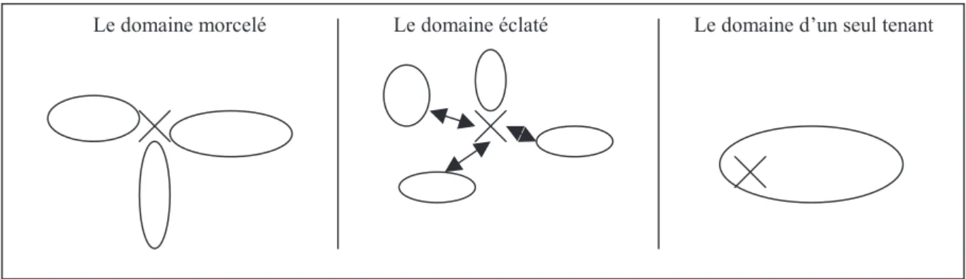 Figure 3 : Les trois types de domaine skiable, d’après Rémy Knafou : 