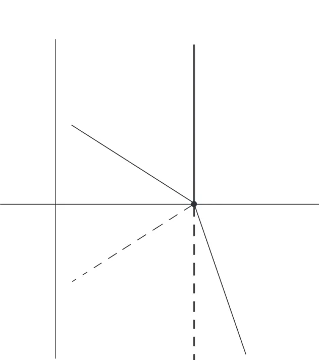Figure 5.6 – Action de la conjugaison complexe sur les orbites — cas des demi-droites.