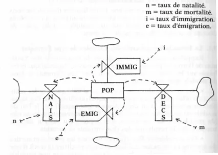 Fig. 2.5 – Repr´esentation des flux d’un syst`eme simple de Forrester (extrait de [PSJS89], page 58)
