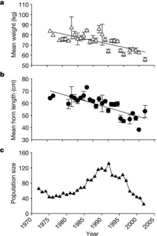 Figure  4: Evolution temporelle entre 1970 et 2002 de (a) la masse corporelle moyenne (kg), (b) la longueur moyenne des cornes des mouflons mâles de 4 ans et (c) de la taille de la population (nombre de mouflons entre 2 et 17 ans) (tiré de Coltman et al