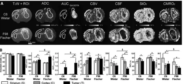 Figure 1.7.: Multiparametric MRI in rat models of glioma Coquery et al. [2014]: anatomical scan (T 2w ), diffusion (ADC), vessel wall permeability (AUC Gd-DOTA ), CBF, CBV, tissular oxygen saturation (StO 2 ) and CMRO 2 