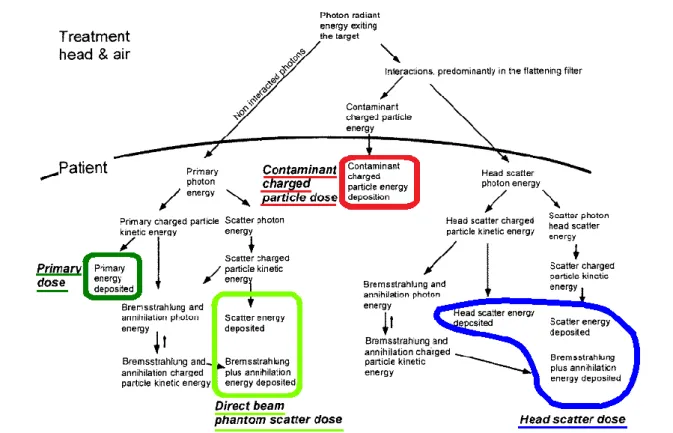 Figure 1-2 : Schéma représentant l’histoire des interactions conduisant au dépôt d’énergie pour les quatre composantes,  issu de ( 16 )